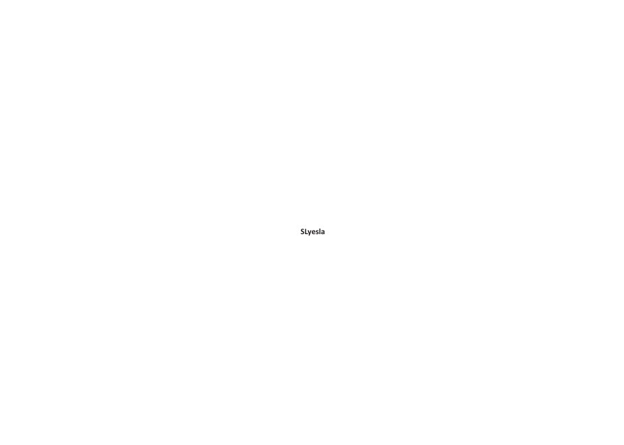 Original Sleysla identity