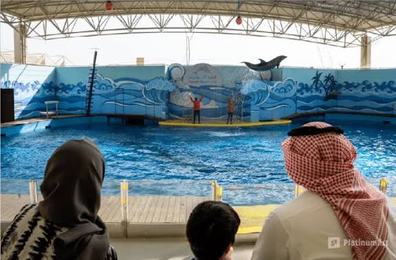 Families watching a live marine show at Fakieh Aquarium